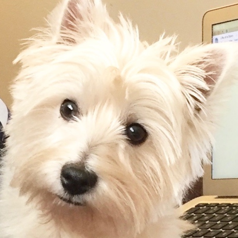 Meet your Posher, Tye